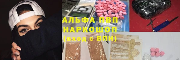 СК Алзамай